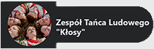 Zespół Tańca Ludowego "Kłosy"