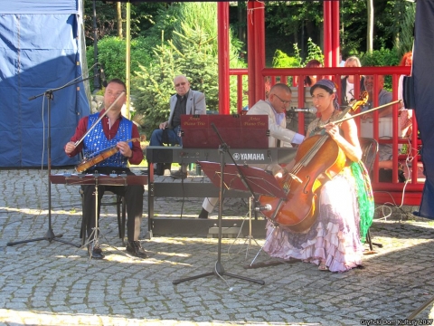 Artes Piano Trio w Ogrodzie Japońskim - 13 sierpnia 2017